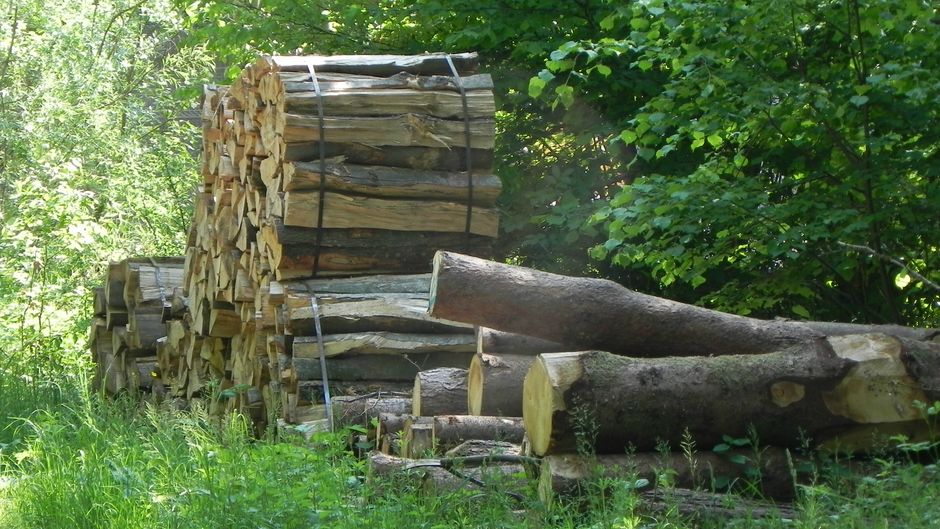Forstzubehör Archive - Liechtenstein Holztreff. Säge- und Hobelwerk